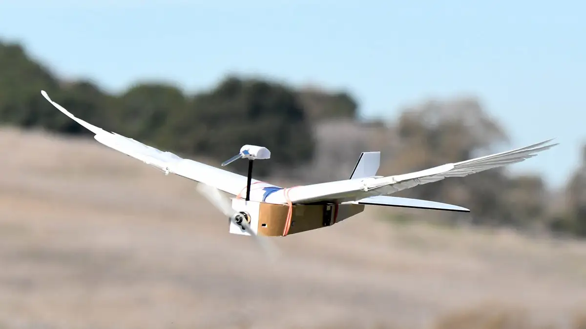 Robot Image 